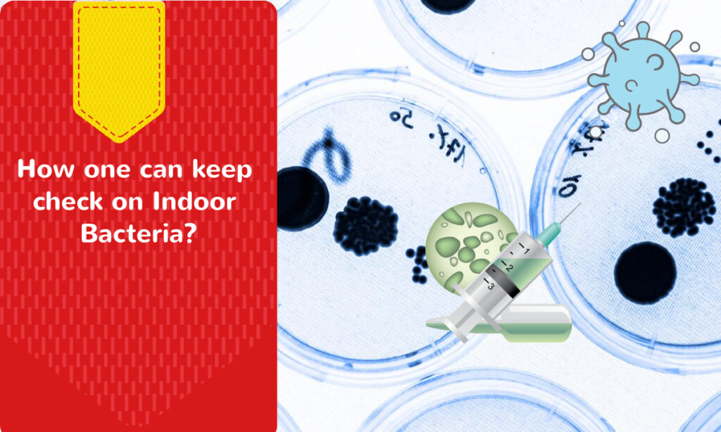 What Makes Antibacterial ACP Stand Out?